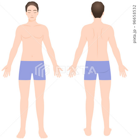 男性の全身図 正面と背面 イラスト 脱毛/エステ/ダイエット 96658532