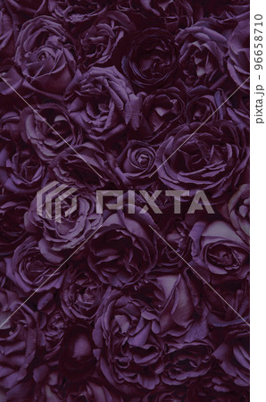 Natural background of rose petals Natural background of rose petals 96658710