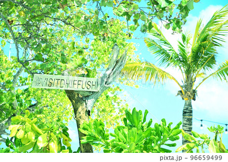 インド洋の真珠モルディブ・ディーフシの風景 96659499