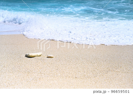 インド洋の真珠モルディブ・フォームラクのビーチ インド洋の真珠モルディブ・フォームラクのビーチ 96659501