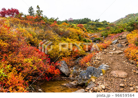 【福島県・磐梯吾妻スカイライン】一切経山トレッキング・コバルトブルーの五色沼と紅葉を見に行こう! 【福島県・磐梯吾妻スカイライン】一切経山トレッキング・コバルトブルーの五色沼と紅葉を見に行こう! 96659564