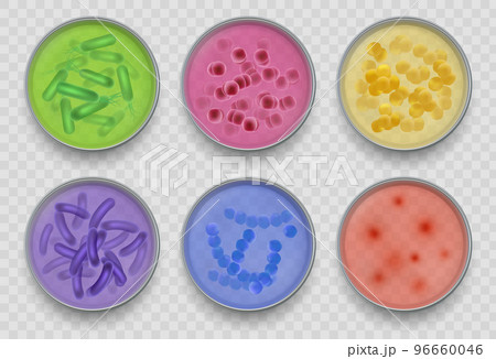 Bacteria gram. Various microorganism top views in petri dish bacteriology laboratory experiments or tests decent vector collection in realistic style Bacteria gram. Various microorganism top views in petri dish bacteriology laboratory experiments or tests decent vector collection in realistic style 96660046