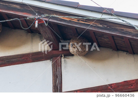 住宅にできたスズメバチの巣 96660436