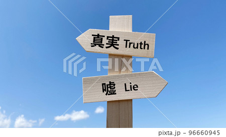 真実と嘘の文字入り道しるべと青空 96660945