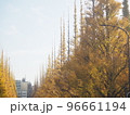 明治神宮外苑・銀杏並木 96661194