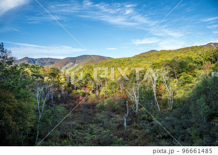《長野県》秋の志賀高原 紅葉の山々 《長野県》秋の志賀高原 紅葉の山々 96661485