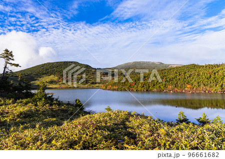 【福島県･磐梯吾妻スカイライン】秋の鎌沼自然探勝路をトレッキング 10月 96661682