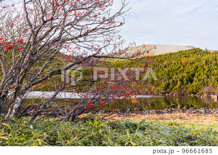 【福島県･磐梯吾妻スカイライン】秋の鎌沼自然探勝路をトレッキング 10月 96661685