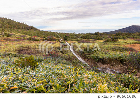 【福島県･磐梯吾妻スカイライン】秋の鎌沼自然探勝路をトレッキング 10月 96661686