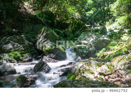 大阪府の島本町の尺代に位置する山吹渓谷の渓流 大阪府の島本町の尺代に位置する山吹渓谷の渓流 96662792