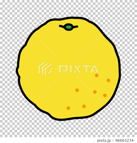 簡單的柚子圖 96663234