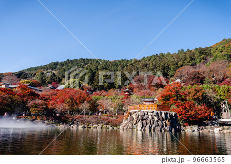 勝尾寺 弁天堂と池の紅葉 勝尾寺 弁天堂と池の紅葉 96663565
