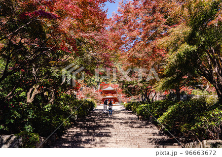 勝尾寺 紅葉 参道 勝尾寺 紅葉 参道 96663672
