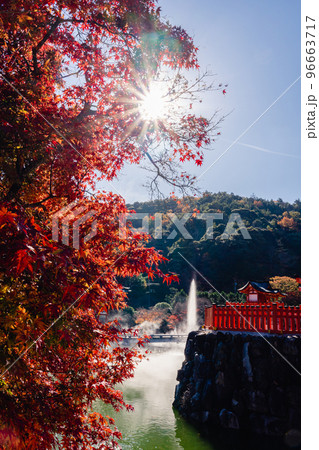 勝尾寺　弁天堂と池の紅葉 96663717