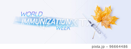 World Immunization Week. Autumn leaf and syringe on white background. Vaccination of population. 96664486