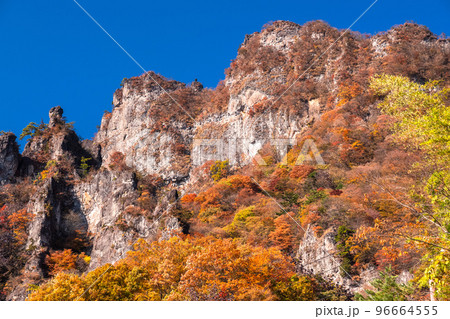 《群馬県》秋の妙義山・紅葉シーズン 96664555