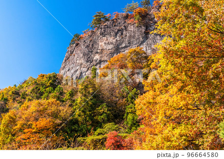 《群馬県》秋の妙義山・紅葉シーズン 96664580