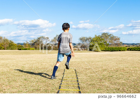 ラダートレーニング ラダートレーニング 96664662