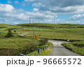 宗谷丘陵 牧場と風力発電所群（北海道） 96665572