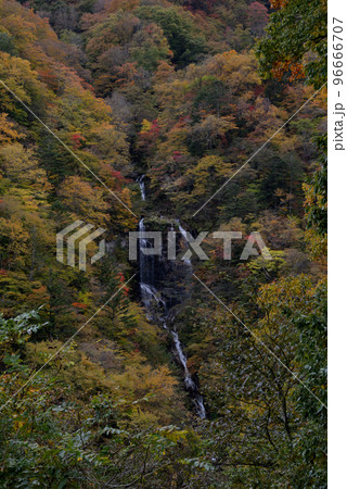 蛇王の滝 96666707