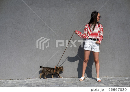 A young woman walks with a gray tabby cat on a leash against a gray wall. A young woman walks with a gray tabby cat on a leash against a gray wall. 96667020