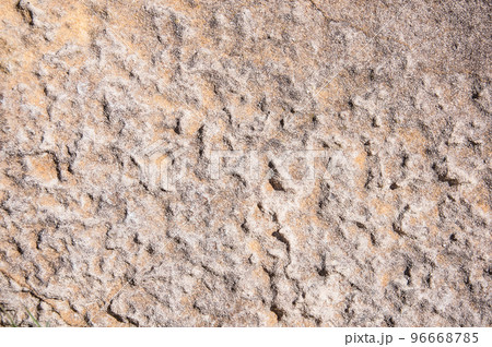 Sun-baked sand surface background.Close-up shot. Sun-baked sand surface background.Close-up shot. 96668785
