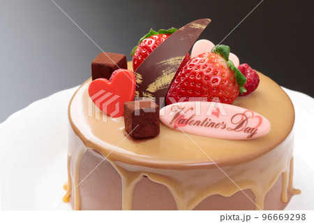 バレンタインチョコレートケーキ 96669298