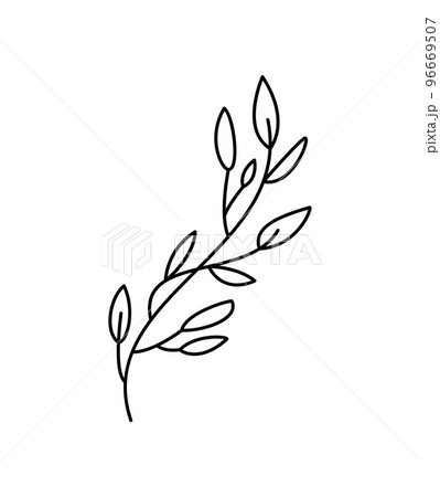 Branch outline vector icon. Thin line black branch icon, flat vector simple element illustration from editable nature concept isolated stroke on white background 96669507