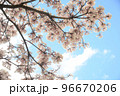 イッペーブランコ 96670206