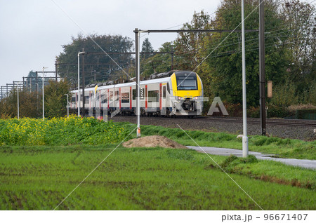 Berlare, East Flemish Region, Belgium  - Local train driving through the green fields 96671407