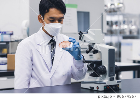 若い男性、研究室、科学、実験、顕微鏡 若い男性、研究室、科学、実験、顕微鏡 96674567