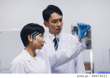 検査結果を確認する白衣を着た研究員 96674631