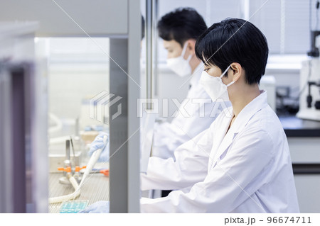 クリーンベンチで働く研究者 96674711