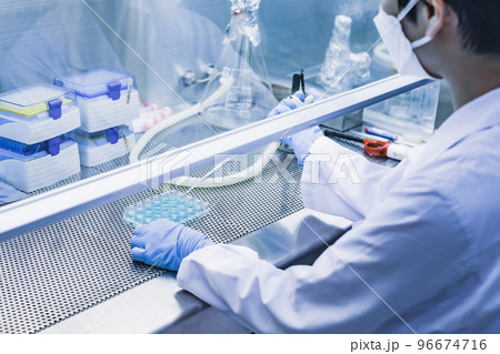 クリーンベンチで働く研究者 クリーンベンチで働く研究者 96674716