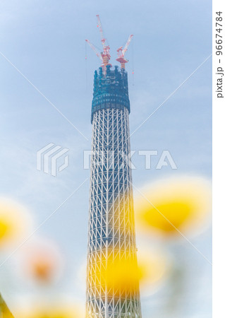 「東京都」建設中の東京スカイツリー 96674784