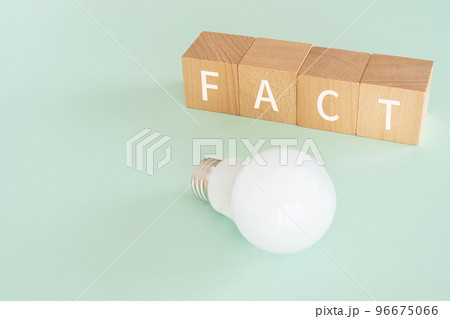FACTと書かれたブロックと電球 FACTと書かれたブロックと電球 96675066