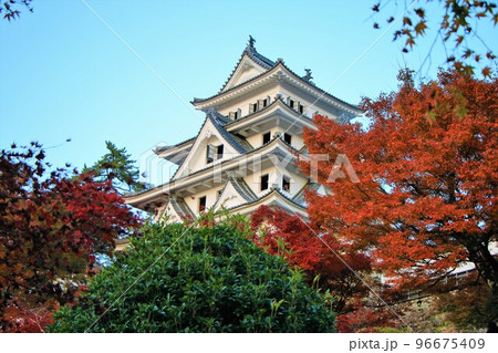 秋の郡上八幡城 秋の郡上八幡城 96675409
