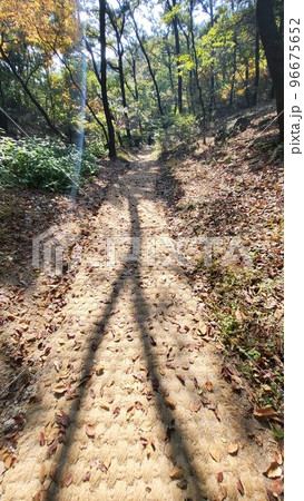 登山 歩道 秋 96675652