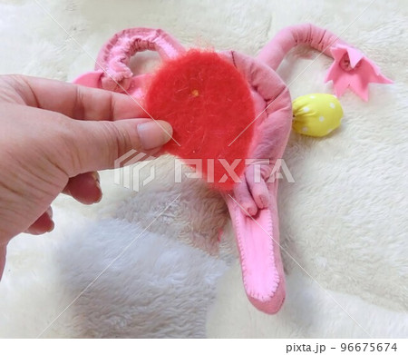 妊娠の成立は着床の確定から始まります 妊娠の成立は着床の確定から始まります 96675674