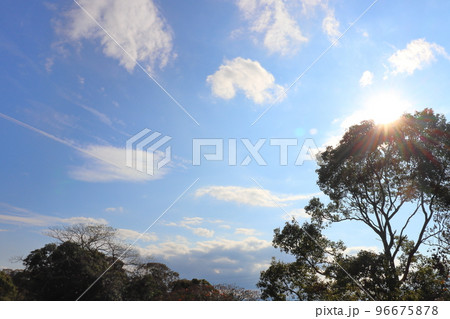 青空　太陽　雲　飛行機雲 96675878