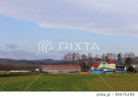 北海道 十勝地方 牧場のある風景  北海道 十勝地方 牧場のある風景  96676289