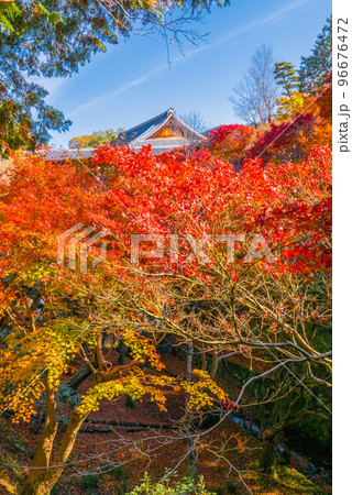 臥雲橋からの紅葉(縦) 臥雲橋からの紅葉(縦) 96676472