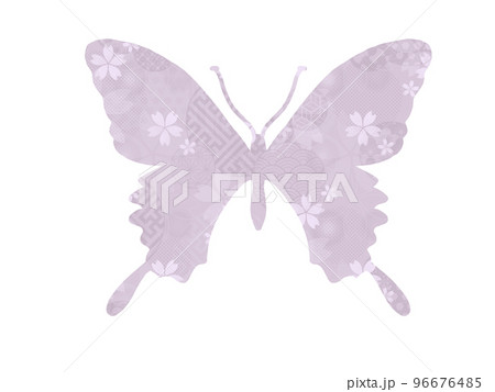 和柄の蝶  96676485