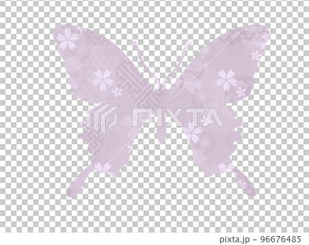 和柄の蝶  96676485