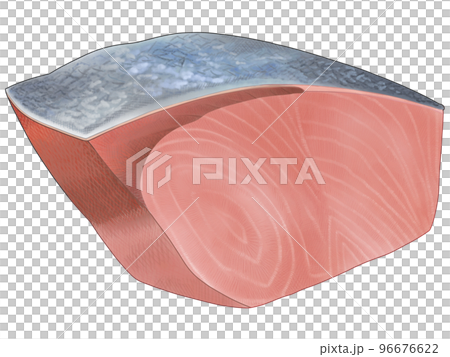A delicious hand-drawn illustration of a realistic taste of amberjack fillet 96676622