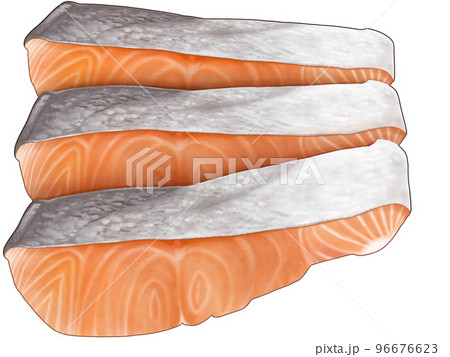 シャケの切り身三切れの美味しそうなリアルなテイストの手描きイラスト シャケの切り身三切れの美味しそうなリアルなテイストの手描きイラスト 96676623