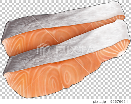 サーモンの切り身二切れのリアルなテイストの美味しそうな手描きイラスト サーモンの切り身二切れのリアルなテイストの美味しそうな手描きイラスト 96676624