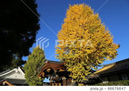 真宗大谷派 東本願寺 【京都市下京区】 真宗大谷派 東本願寺 【京都市下京区】 96676647