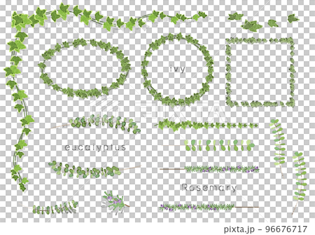 Leaf illustration frame set (watercolor, ivy, eucalyptus, rosemary) Leaf illustration frame set (watercolor, ivy, eucalyptus, rosemary) 96676717