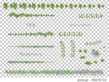Leaf illustration decorative ruled line set (watercolor, ivy, eucalyptus, rosemary) Leaf illustration decorative ruled line set (watercolor, ivy, eucalyptus, rosemary) 96676718
